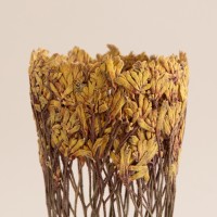 <a href="https://www.galeriegosserez.com/artistes/clegg-shannon.html">Shannon Clegg</a> - « Flora » - Small Yellow Gold Sculpture